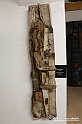 VBS_8008 - Museo Eugenio Guglielminetti - Scultura e Scenografia